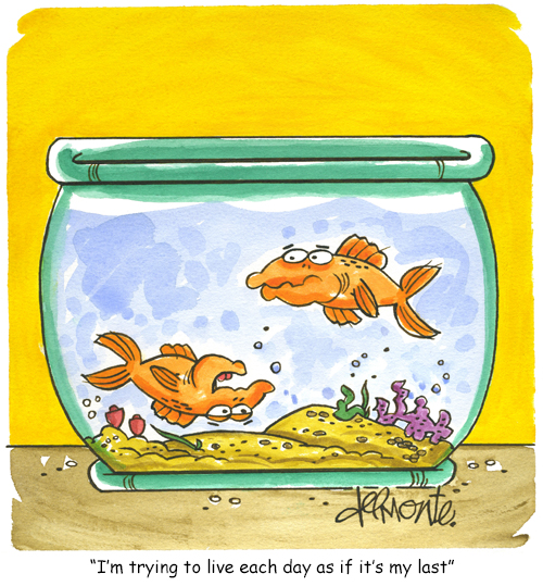 Steve Delmonte’s cartoon